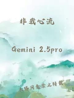 非我心流