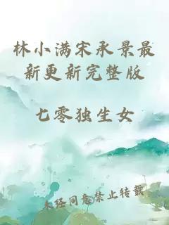 林小满宋承景最新更新完整版